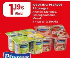 Páturages - Iogurte C/ Pedacos