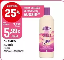 Aussie - Champo