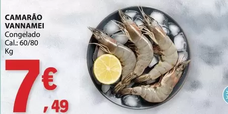 Camarão