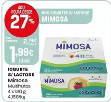 Mimosa - Iogurte S/ Lactose