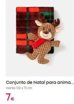 Conjunto De Natal Para Anima