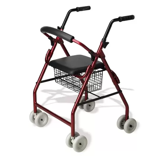 Andarilho 4 Rodas com Banco e Cesto