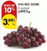 Globe - Uva Red