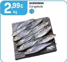 Sardinha