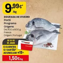 Porsi - Dourada De Viveiro