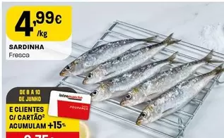 Sardinha