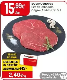 Bovino Angus