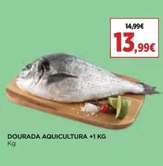 Dourada Aquicultura +1 KG