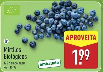 Mirtilos Biologicos