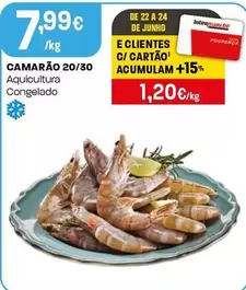 Camarão 20/30