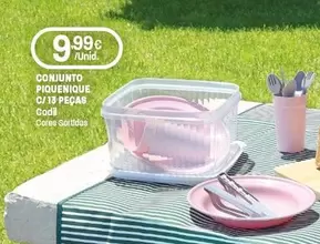 Conjunto Piquenique