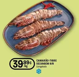Camarão-Tigre Selvagem 6/8