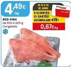 Red-Fish Congelado
