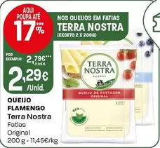 Terra Nostra - Queijo Flamengo