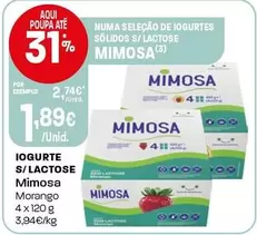 Mimosa - Iogurte S/ Lactose Morango