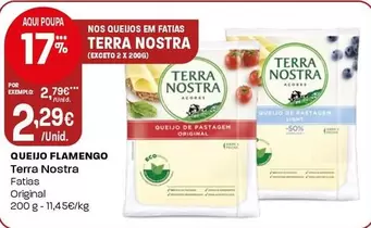 Terra Nostra - Queijo Flamengo