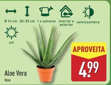 Sol - Aloe Vera