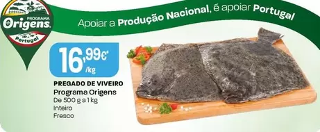 Programa Origens - Pregado De Viveiro