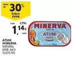 Minerva - Atum