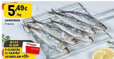 Sardinha