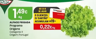Programa Origens - Alface Frisada