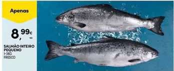 Salmão Inteiro Pegueno