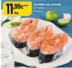 Salmão De Viveiro