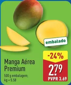 Premium - Manga Aérea