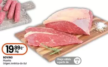 Bovino