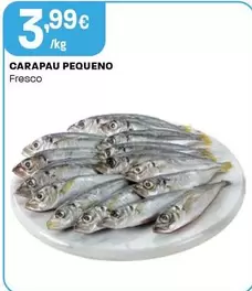 Carapau Pequeno Fresco