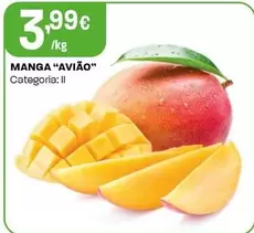 Manga "Aviao"