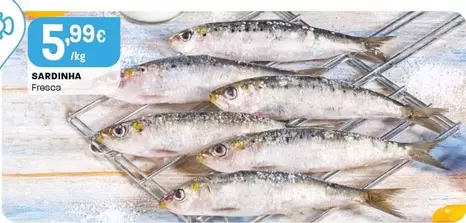 Sardinha