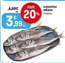 Carapau Medio