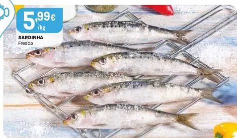 Sardinha