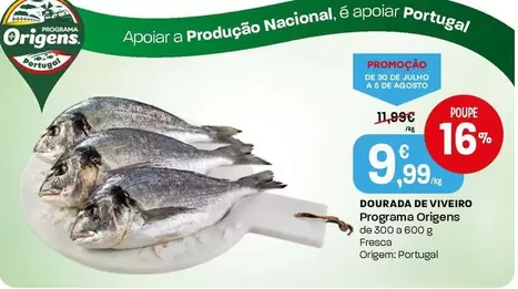 Programa Origens - Dourada De Viveiro
