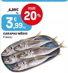 Carapau Medio