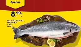 Salmão Inteiro Pequeno