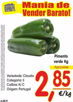 Catálogo Casa Cheia | Pimento verde | 2026-08-07T00:00:00.000Z - 2026-08-19T00:00:00.000Z
