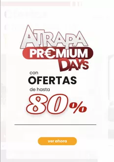 Catálogo Atrapamuebles | 80% | 2026-10-06T00:00:00.000Z - 2026-10-11T00:00:00.000Z