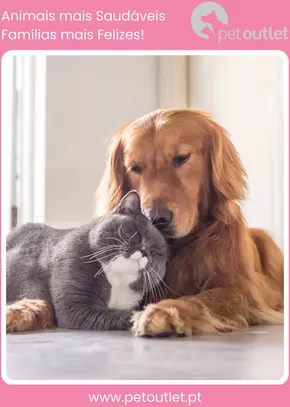 Catálogo Petoutlet em Loulé | Folhetos Temáticos | 2025-08-11T00:00:00.000Z - 2025-08-15T00:00:00.000Z