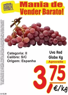 Catálogo Casa Cheia em Campo Maior | Ampla seleção de ofertas | 2025-12-12T00:00:00.000Z - 2025-12-14T00:00:00.000Z