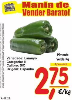 Folheto Casa Cheia em Vila Franca de Xira | Pimento Verde | 2026-07-10T00:00:00.000Z - 2026-07-22T00:00:00.000Z