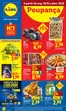 Catálogo Lidl em Campia | A partir de 1008 | 2026-08-07T00:00:00.000Z - 2026-08-16T00:00:00.000Z