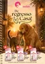 Catálogo Petoutlet | De regresso a Casa! | 2026-09-01T00:00:00.000Z - 2026-10-31T00:00:00.000Z