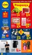 Catálogo Lidl | A partir de 0510 | 2026-10-02T00:00:00.000Z - 2026-10-11T00:00:00.000Z