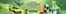 Catálogo Science4you | Tecnologia | 2026-10-06T00:00:00.000Z - 2026-10-13T00:00:00.000Z