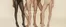 Catálogo Calzedonia | Promoções | 2026-10-19T00:00:00.000Z - 2026-11-02T00:00:00.000Z