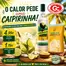 Catálogo GidaCarnes Supermercados em Goães | Folheto GidaCarnes Supermercados | 2026-06-12T00:00:00.000Z - 2026-06-26T00:00:00.000Z