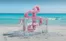 Catálogo Salsa | Até -50% | 2026-06-15T00:00:00.000Z - 2026-06-18T00:00:00.000Z
