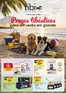 Folheto Tibi em  | Preços Tibásticos | 2026-07-01T00:00:00.000Z - 2026-07-30T00:00:00.000Z